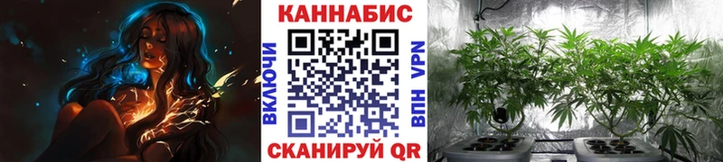 Купить закладку A-PVP  Амфетамин  ЭКСТАЗИ  Конопля  Меф  ГАШ  Аргун