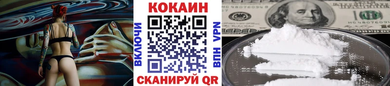 Купить закладки  Аргун  Cocaine Fish Scale 