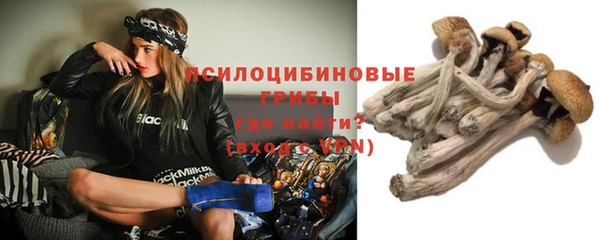 mix Белокуриха